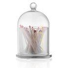 Glass Cloche Match Holder - Waterdale Collection